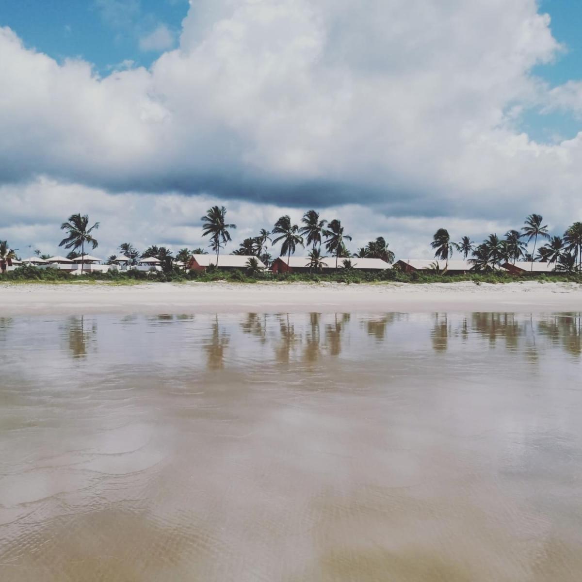 Lindo Apto Em Frente Ao Mar - Ilheus - Itacare Ba 外观 照片
